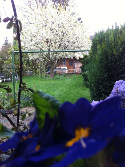 IMG_1835-e1440770815686